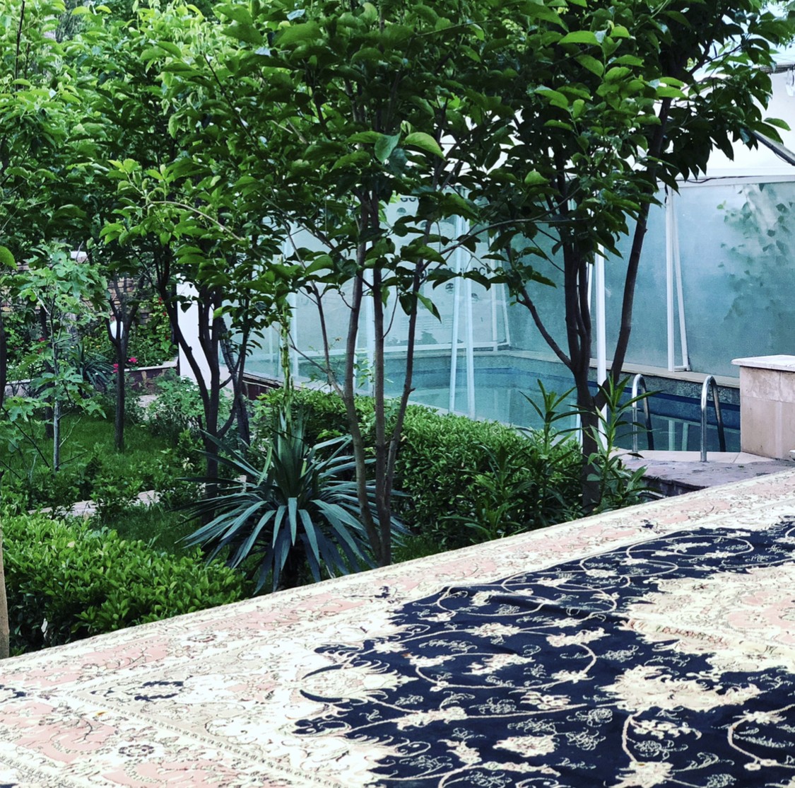 بهترین منطقه یلاقی استان گلستان